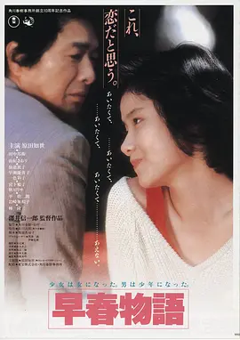 剧情电影《回声谷》竖版海报